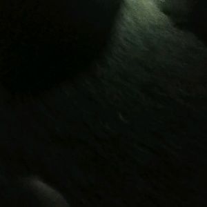 Meet your Posher, Kara